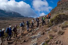 How to Choose the Right Kilimanjaro Tour Operator